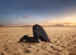 Man with his head in sand